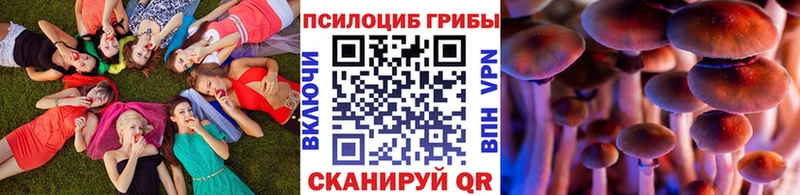 где можно купить наркотик  Озёрск  Псилоцибиновые грибы ЛСД 